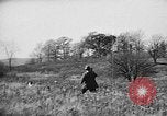 Immagine di English Springer épagneuls Verbank New York USA, 1935, secondo 61 filmato di repertorio 65675073366