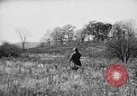 Immagine di English Springer épagneuls Verbank New York USA, 1935, secondo 62 filmato di repertorio 65675073366