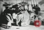 Image of American civilians United States USA, 1902, second 12 stock footage video 65675073372
