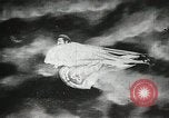 Image of American civilians United States USA, 1902, second 31 stock footage video 65675073372