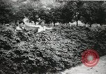 Image des voleurs volent des vêtements United States USA, 1904, de la seconde 41 séquences d'archives historiques vidéo 65675073379