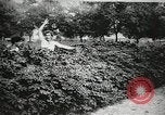 Image des voleurs volent des vêtements United States USA, 1904, de la seconde 42 séquences d'archives historiques vidéo 65675073379