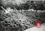 Image des voleurs volent des vêtements United States USA, 1904, de la seconde 43 séquences d'archives historiques vidéo 65675073379