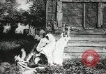 Image des voleurs volent des vêtements United States USA, 1904, de la seconde 55 séquences d'archives historiques vidéo 65675073379
