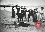 Image des civils américains United States USA, 1902, de la seconde 18 séquences d'archives historiques vidéo 65675073384