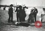 Image des civils américains United States USA, 1902, de la seconde 28 séquences d'archives historiques vidéo 65675073384
