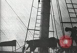 Immagine di Naufragio superstiti United States USA, 1902, secondo 8 filmato di repertorio 65675073388