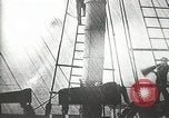 Immagine di Naufragio superstiti United States USA, 1902, secondo 9 filmato di repertorio 65675073388