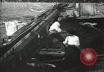 Immagine di Naufragio superstiti United States USA, 1902, secondo 12 filmato di repertorio 65675073388