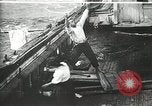 Immagine di Naufragio superstiti United States USA, 1902, secondo 13 filmato di repertorio 65675073388