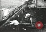 Immagine di Naufragio superstiti United States USA, 1902, secondo 14 filmato di repertorio 65675073388