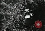 Immagine di Naufragio superstiti United States USA, 1902, secondo 23 filmato di repertorio 65675073388