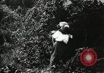 Immagine di Naufragio superstiti United States USA, 1902, secondo 24 filmato di repertorio 65675073388