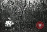 Immagine di Naufragio superstiti United States USA, 1902, secondo 28 filmato di repertorio 65675073388