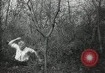 Immagine di Naufragio superstiti United States USA, 1902, secondo 29 filmato di repertorio 65675073388