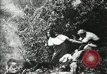 Immagine di Naufragio superstiti United States USA, 1902, secondo 30 filmato di repertorio 65675073388