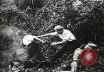 Immagine di Naufragio superstiti United States USA, 1902, secondo 31 filmato di repertorio 65675073388