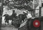 Immagine di La guerra civile del dramma United States USA, 1902, secondo 8 filmato di repertorio 65675073389