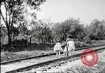 Immagine di Film di finzione a partire dall'inizio del XX secolo United States USA, 1910, secondo 10 filmato di repertorio 65675073424