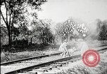 Immagine di Film di finzione a partire dall'inizio del XX secolo United States USA, 1910, secondo 12 filmato di repertorio 65675073424