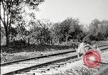 Immagine di Film di finzione a partire dall'inizio del XX secolo United States USA, 1910, secondo 14 filmato di repertorio 65675073424