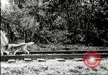 Immagine di Film di finzione a partire dall'inizio del XX secolo United States USA, 1910, secondo 45 filmato di repertorio 65675073424