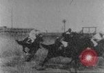 Immagine di Corsa di cavalli United States USA, 1902, secondo 10 filmato di repertorio 65675073427
