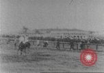 Immagine di Corsa di cavalli United States USA, 1902, secondo 32 filmato di repertorio 65675073427