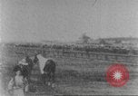 Immagine di Corsa di cavalli United States USA, 1902, secondo 40 filmato di repertorio 65675073427