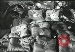 Image Joseph Staline Moscou Russie Union Soviétique, 1953, de la seconde 1 séquences d'archives historiques vidéo 65675073434