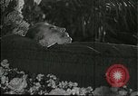 Image Joseph Staline Moscou Russie Union Soviétique, 1953, de la seconde 25 séquences d'archives historiques vidéo 65675073435