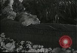 Image Joseph Staline Moscou Russie Union Soviétique, 1953, de la seconde 27 séquences d'archives historiques vidéo 65675073435