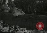 Image Joseph Staline Moscou Russie Union Soviétique, 1953, de la seconde 29 séquences d'archives historiques vidéo 65675073435