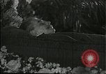 Image Joseph Staline Moscou Russie Union Soviétique, 1953, de la seconde 30 séquences d'archives historiques vidéo 65675073435