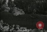 Image Joseph Staline Moscou Russie Union Soviétique, 1953, de la seconde 31 séquences d'archives historiques vidéo 65675073435
