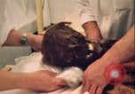 Image of mummy with tattoo Moscow Russia Soviet Union, 1970, second 18 stock footage video 65675073442