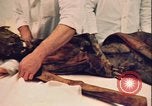 Image of mummy with tattoo Moscow Russia Soviet Union, 1970, second 21 stock footage video 65675073442