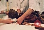 Image of mummy with tattoo Moscow Russia Soviet Union, 1970, second 22 stock footage video 65675073442