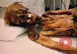 Image of mummy with tattoo Moscow Russia Soviet Union, 1970, second 49 stock footage video 65675073442