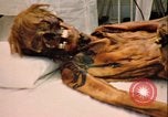 Image of mummy with tattoo Moscow Russia Soviet Union, 1970, second 51 stock footage video 65675073442