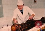 Standbild Mumien Moskau Russland Sowjetunion, 1970, aus Sekunde 3 historischem Filmmaterial Videoclip 65675073443