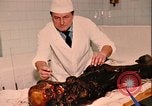 Standbild Mumien Moskau Russland Sowjetunion, 1970, aus Sekunde 15 historischem Filmmaterial Videoclip 65675073443