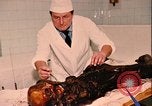 Standbild Mumien Moskau Russland Sowjetunion, 1970, aus Sekunde 16 historischem Filmmaterial Videoclip 65675073443