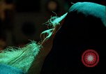 Image of Soliciting funds for tombs Moscow Russia Soviet Union, 1970, second 31 stock footage video 65675073451