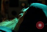 Image of Soliciting funds for tombs Moscow Russia Soviet Union, 1970, second 32 stock footage video 65675073451