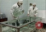 Image of Soviet mummy technicians Moscow Russia Soviet Union, 1970, second 19 stock footage video 65675073452