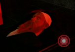 Image of Soviet mummy technicians Moscow Russia Soviet Union, 1970, second 36 stock footage video 65675073452