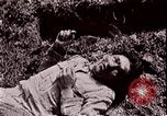 Image of Ho Chi Minh Hanoi Vietnam, 1969, second 31 stock footage video 65675073455