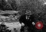Standbild Helen's Ehe New York United States USA, 1912, aus Sekunde 55 historischem Filmmaterial Videoclip 65675073460