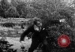 Standbild Helen's Ehe New York United States USA, 1912, aus Sekunde 57 historischem Filmmaterial Videoclip 65675073460